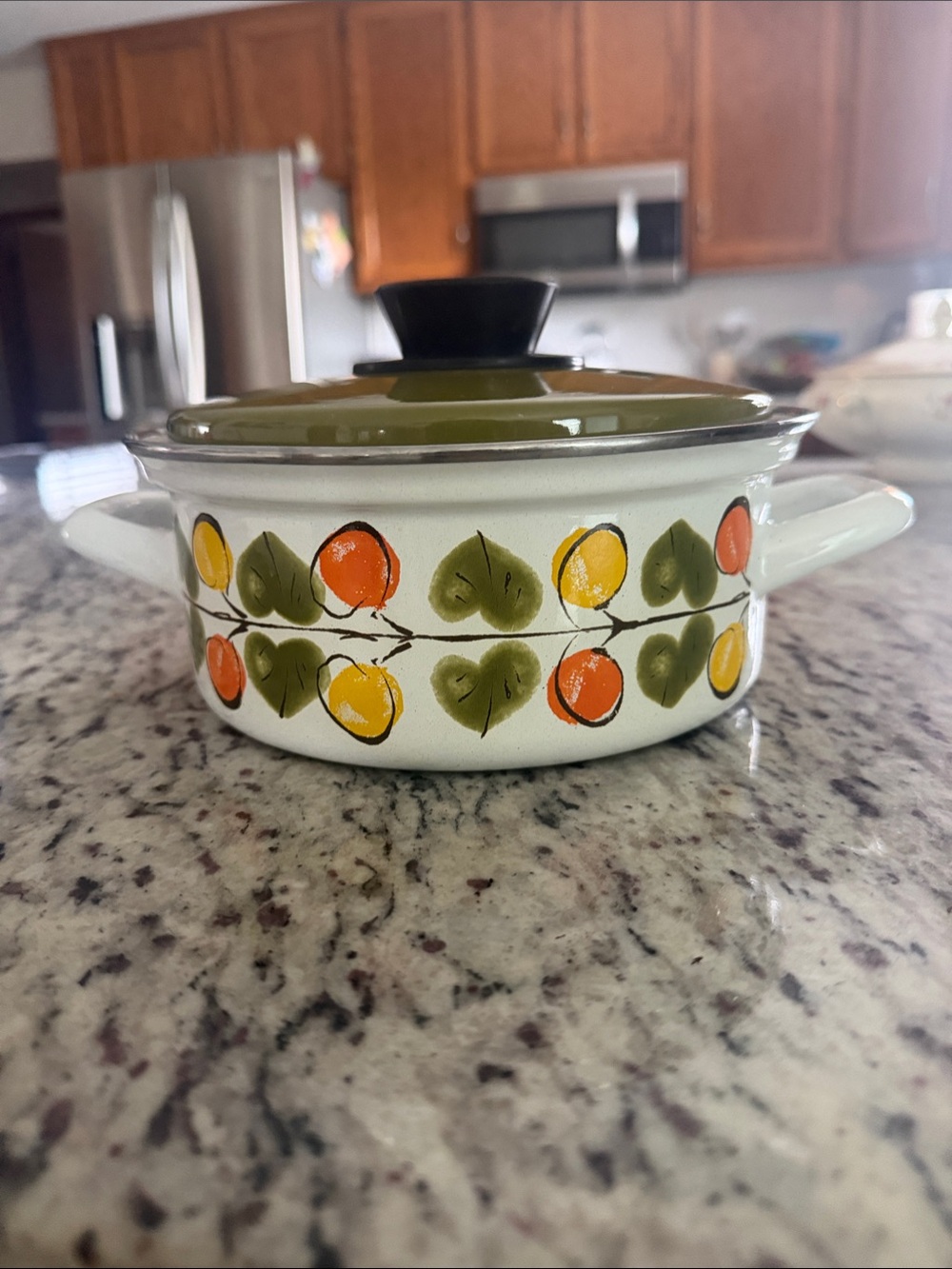 Retro Hand-Painted Enamel Casserole with Olive Green Lid
Austria Email